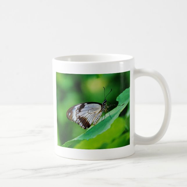 Mörkbrun och grå fjäril kaffemugg (Höger)