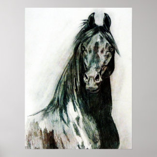 Mörken Beauty Poster