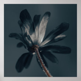 Mörken Flower Poster