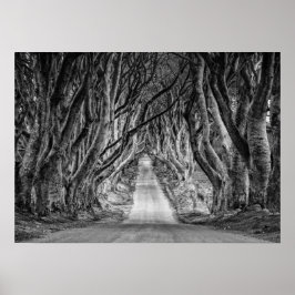 MÖRKEN HEDGES. ANTRIM, NORDIRLAND POSTER
