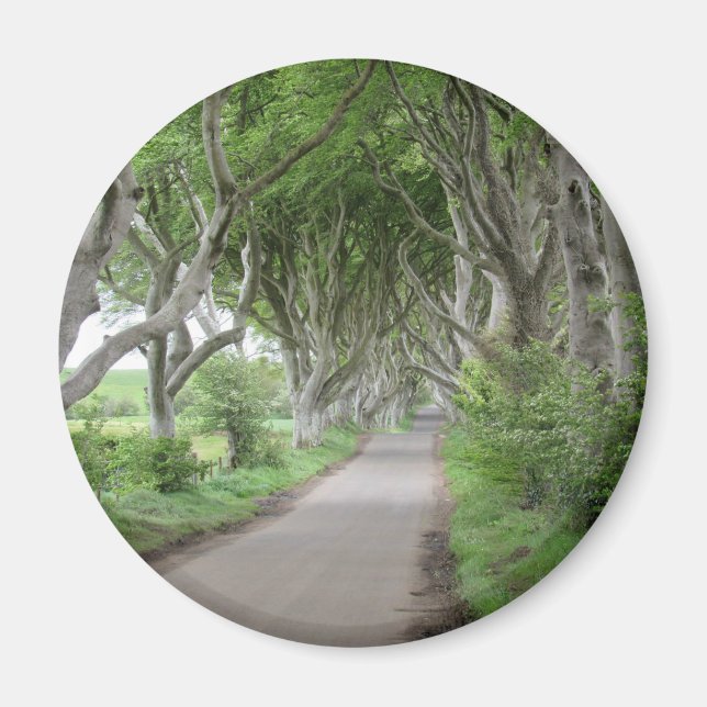 Mörken Hedges Magnet (Framsidan)