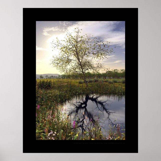 Mörken - Le côté obscur Poster (Framsidan)