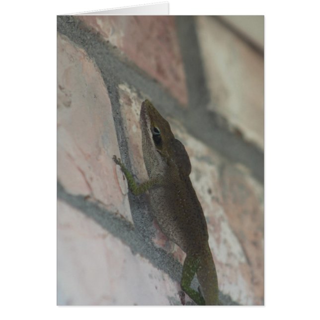 Mörken Lizard Hälsningskort (Framsidan)