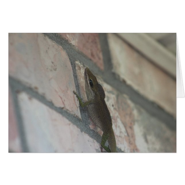 Mörken Lizard Hälsningskort (Framsidan Horizontal)