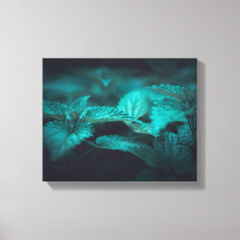 Mörkens Moody fixeringsfoto för Nettle Natature Canvastryck