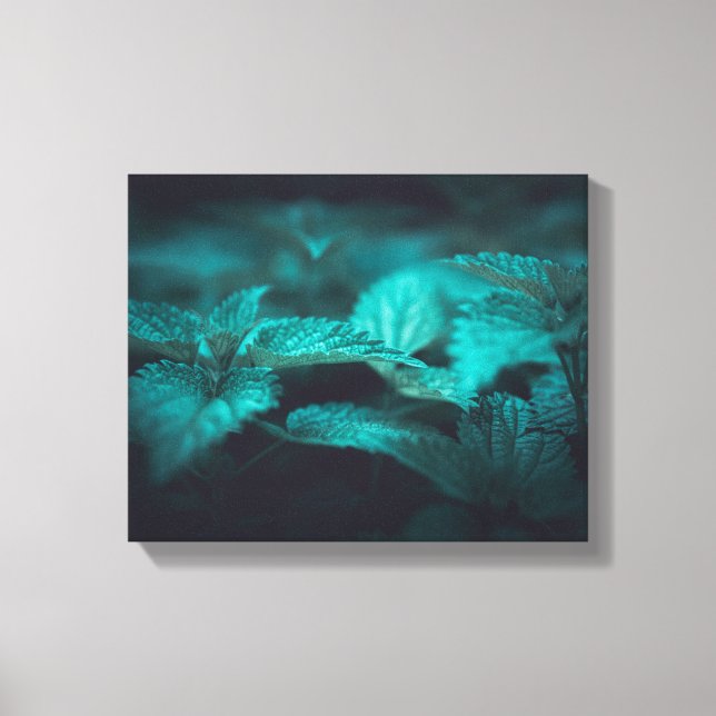 Mörkens Moody fixeringsfoto för Nettle Natature Canvastryck (Framsida)