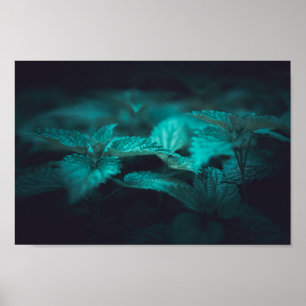 Mörkens Moody fixeringsfoto för Nettle Natature Poster