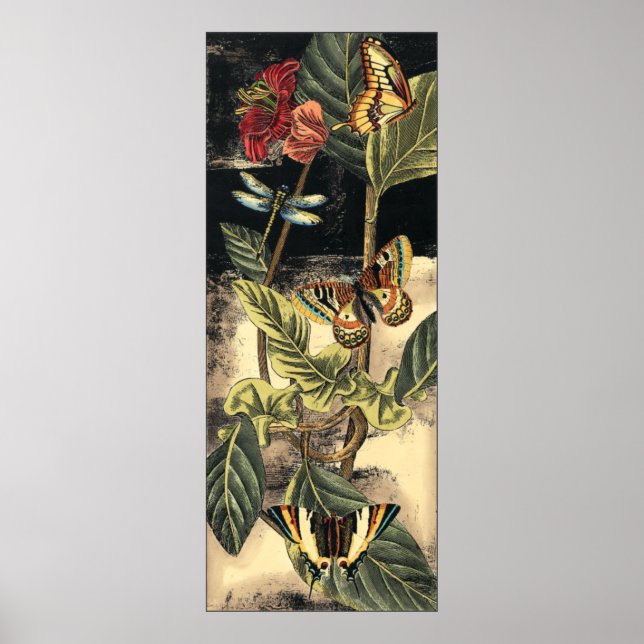 Mörkens natur scen efter Vision Studio Poster (Framsidan)