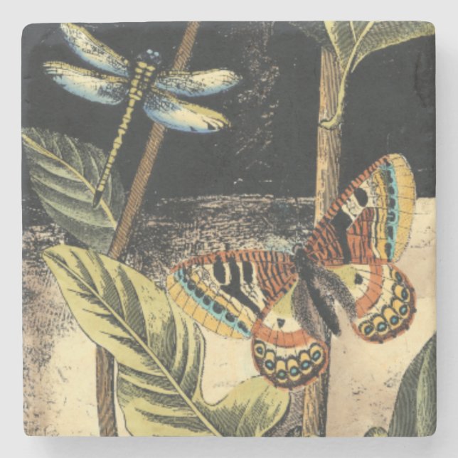 Mörkens natur scen efter Vision Studio Underlägg Sten (Framsidan)