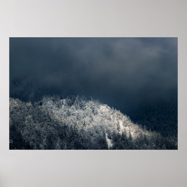 Mörker och sol över snöig gran skog poster