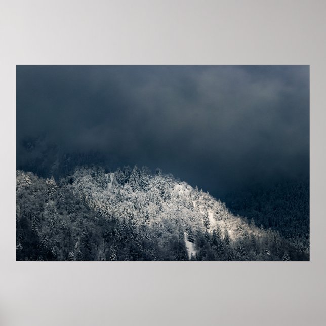 Mörker och sol över snöig gran skog poster (Framsidan)