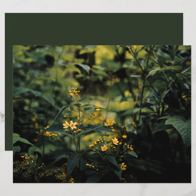 Mörkgrön äng, naturfoto Scrapbookpapper (Fram/baksida)