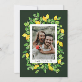 Mörkgröna sommarcitroner och lövverk Foto Spara Datumet