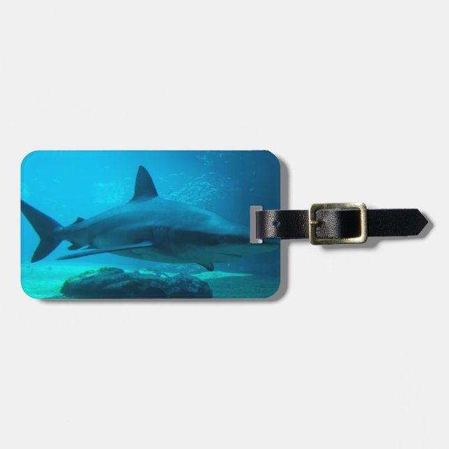 Mörkhaj (Carcharhinus Obscurus), Ushaka Bagagebricka (Horisontell Framsida)