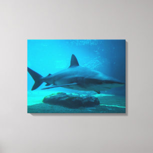 Mörkhaj (Carcharhinus Obscurus), Ushaka Canvastryck
