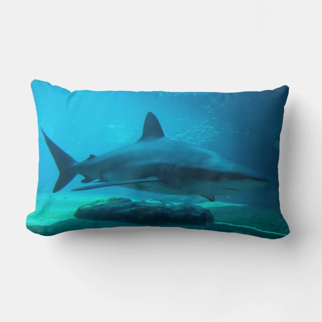 Mörkhaj (Carcharhinus Obscurus), Ushaka Lumbarkudde (Framsida)