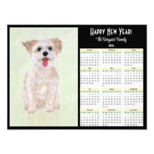 Morkie 2026 Kalender Fototryck