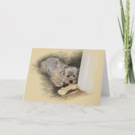 Morkie Greeting Card Kort