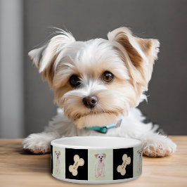 Morkie Hund Bowl med bone