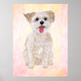 Morkie Hundtryck Med Färgglad Bakgrund Poster