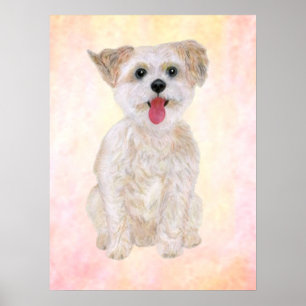 Morkie Hundtryck Med Färgglad Bakgrund Poster
