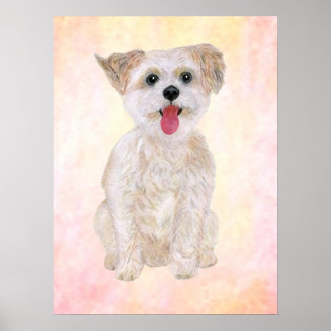 Morkie Hundtryck Med Färgglad Bakgrund Poster (Framsidan)