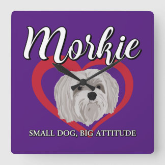 Morkie - Liten hund, stort sinnelag - 3 Fyrkantig Klocka