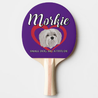 Morkie - Liten hund, stort sinnelag - 3 Pingisracket