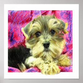 morkie puppy poster