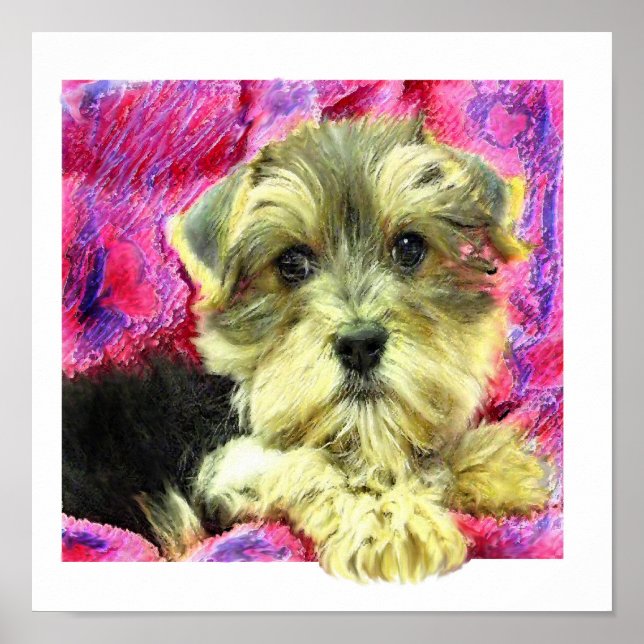 morkie puppy poster (Framsidan)