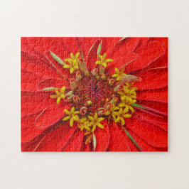 Mörkröd Blomma Närbild Blommig Pussel