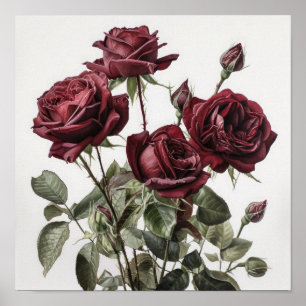 Mörkröda Rosor Blomsterkonsttryck Poster