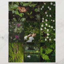 Mörkt Grön Natur Kärna Scrapbooking Papper