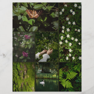 Mörkt Grön Natur Kärna Scrapbooking Papper