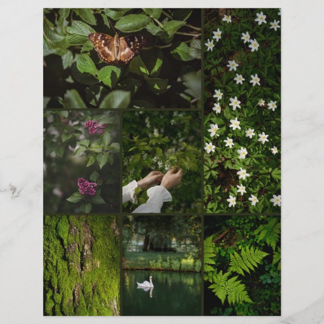 Mörkt Grön Natur Kärna Scrapbooking Papper (Framsida)