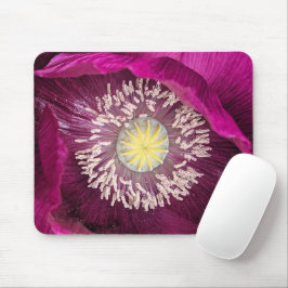 Mörkt rosa orientpoppyblomma musmatta