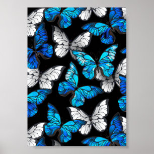 Mörkt sömlöst mönster med blå fjärilar Morpho Poster