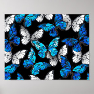 Mörkt sömlöst mönster med blå fjärilar Morpho Poster