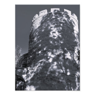 Mörkt torn fototryck