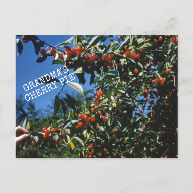 Mormas Cherry Paj Recipe Vykort (Framsida)