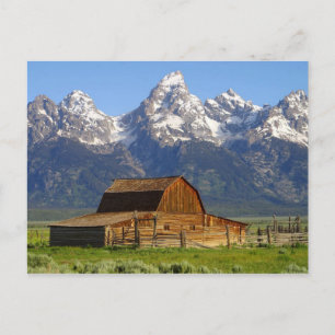 Mormon Barn Vykort