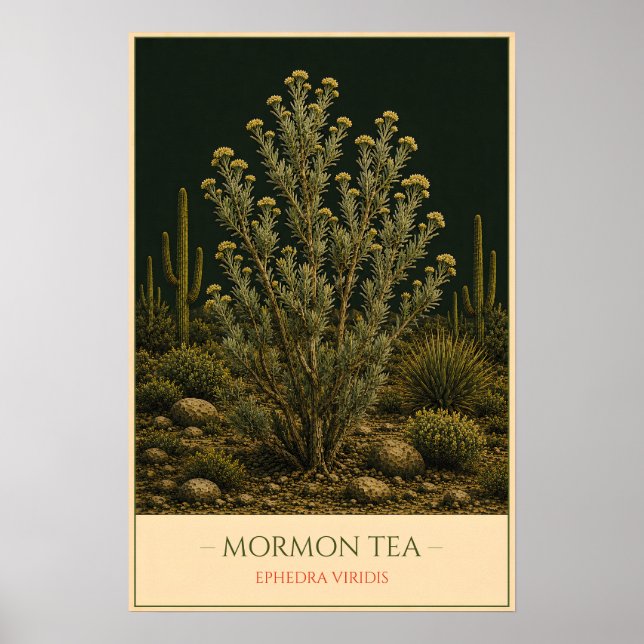 Mormon Tea Poster (Framsidan)