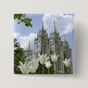 Mormon-templet Salt Sjö Knapp