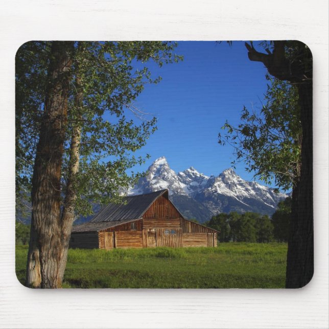Mormonen ror ladugårdar i storslagna Teton Musmatta (Framsidan)