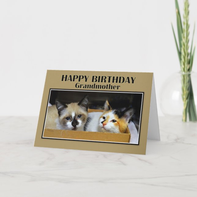Mormor Kittens i en Box Grattis på födelsedagen Kort (Framsida)