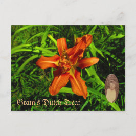 Mormors holländska godsak vykort