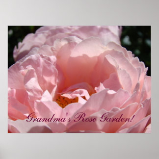 Mormors Rosenträdgård konsttryck Rosa Rosblommor Poster
