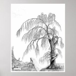 "Mornatur," vid Jeff Camden Poster
