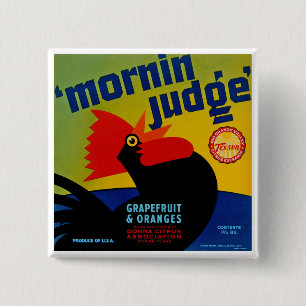 Mornin Domare Knapp