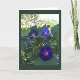 Morning Glory Kaleidoscope Blank Kort